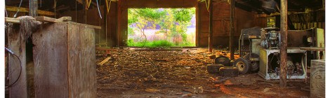 Fighting Entropy takes Energy (photo: Printemps, flickr)