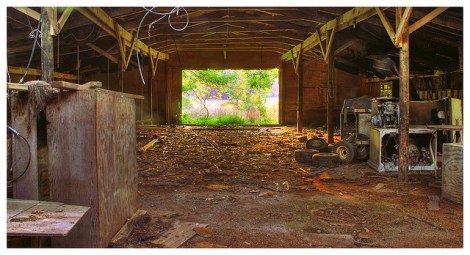 Fighting Entropy takes Energy (photo: Printemps, flickr)